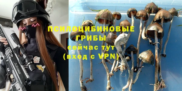 ешки Заволжье