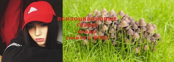 а пвп мука Заволжск