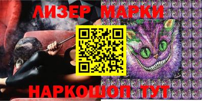 стаф Берёзовский