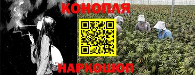 крисы Бийск