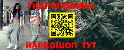 крисы Бийск
