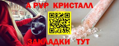 крисы Бийск