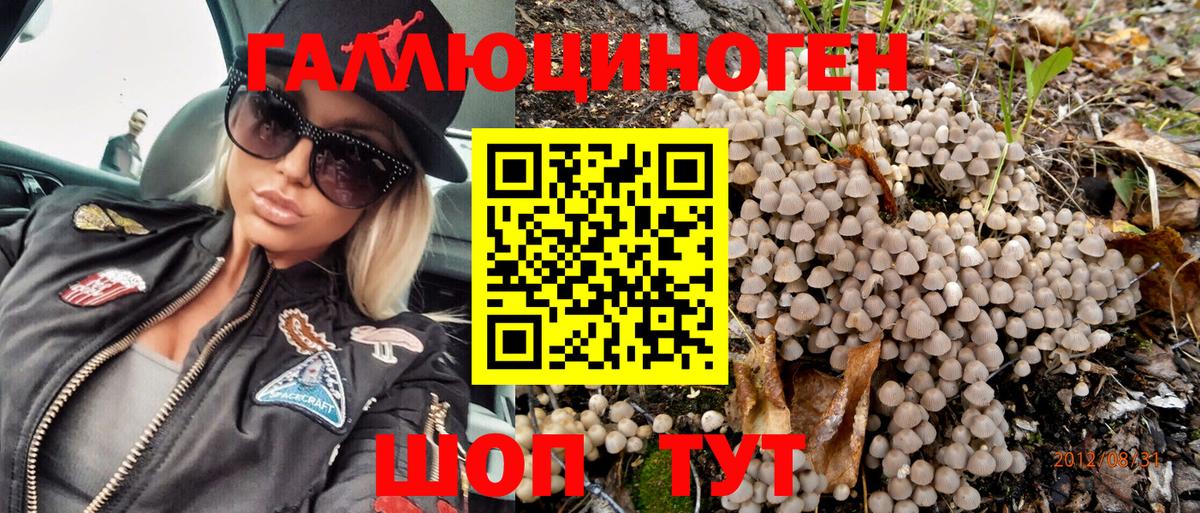 Псилоцибиновые грибы мицелий Волжский